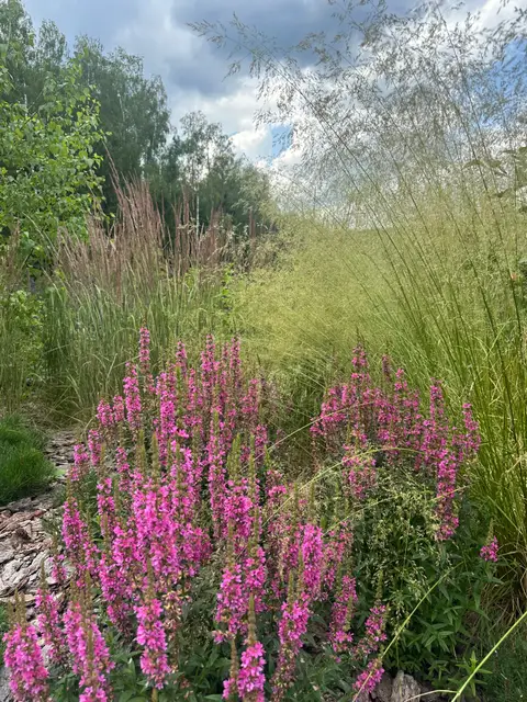 Лагуна парк