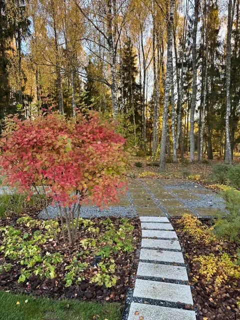 Лагуна парк