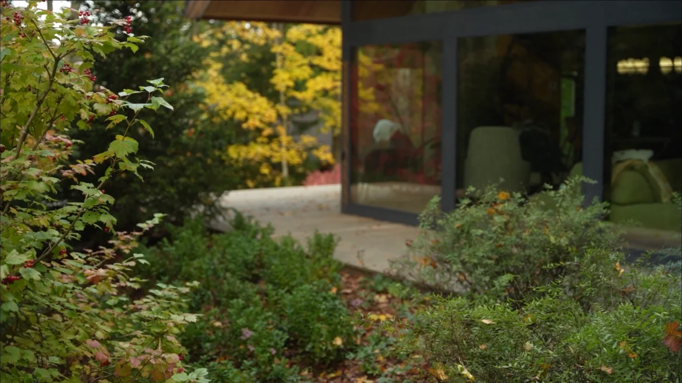 Ландшафтный дизайн проекта Новолеоново