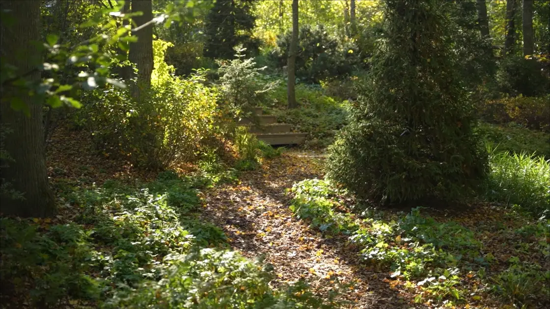 Новолеоново