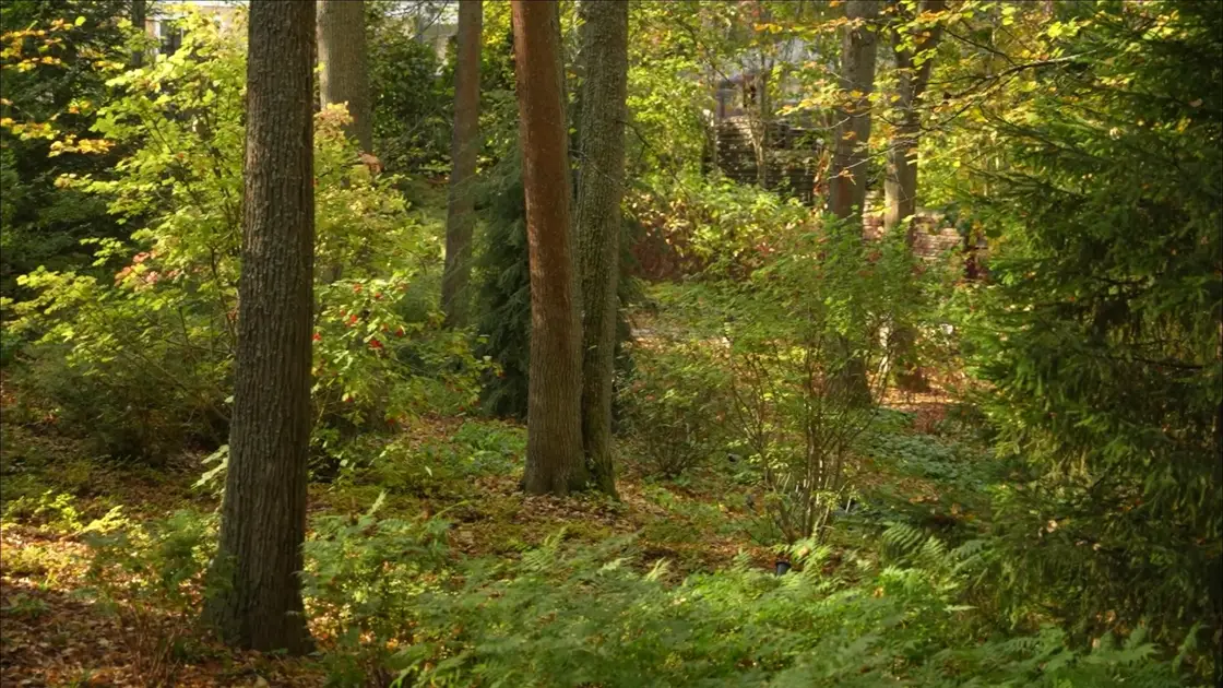 Новолеоново