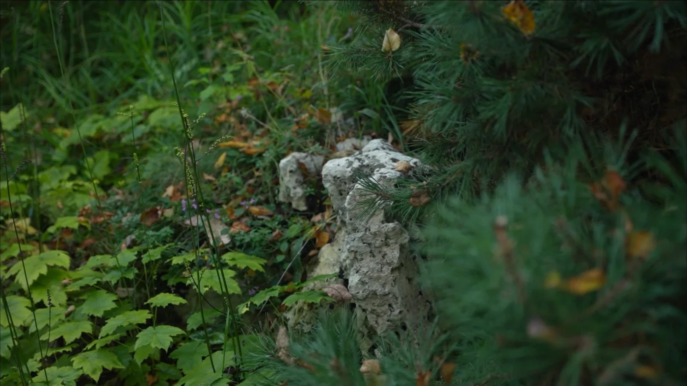 Новолеоново