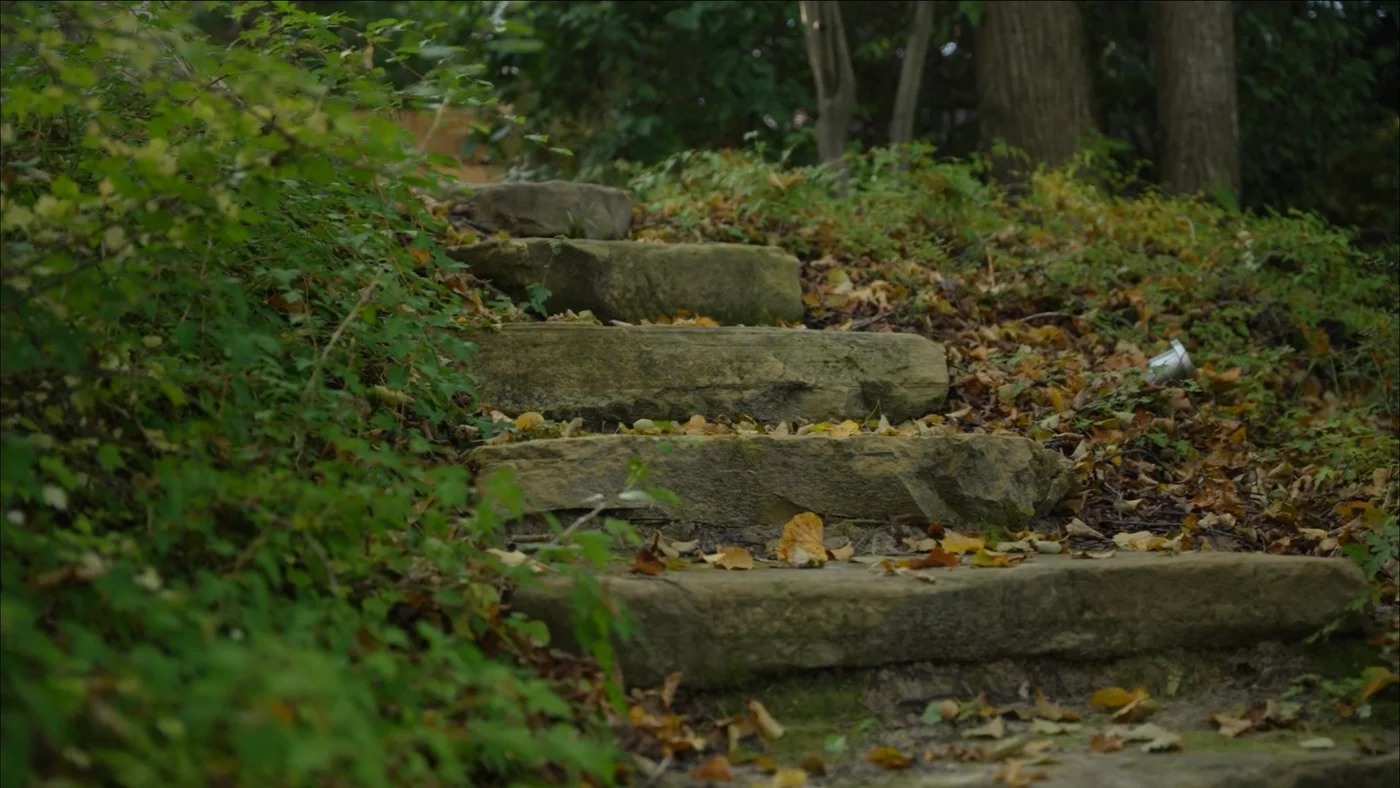 Новолеоново