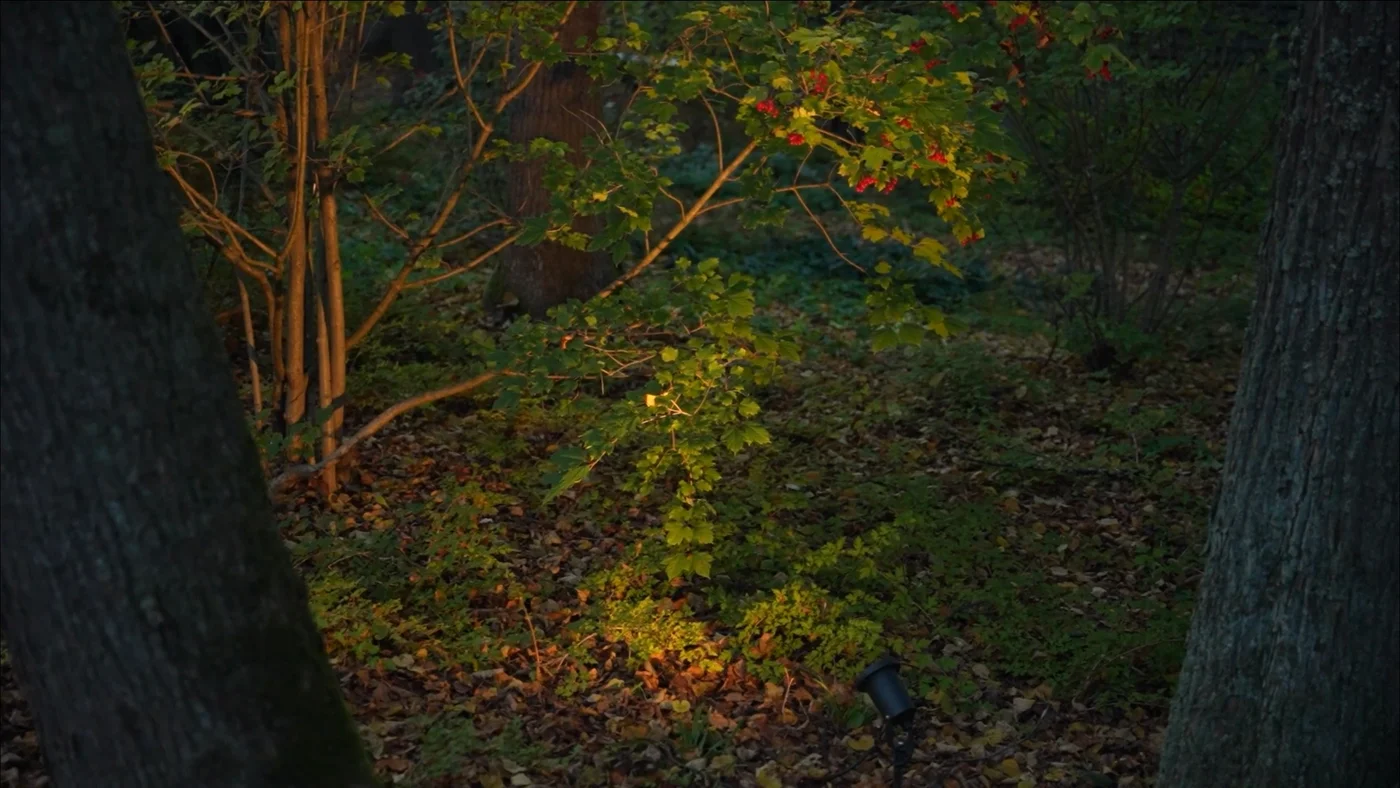 Новолеоново