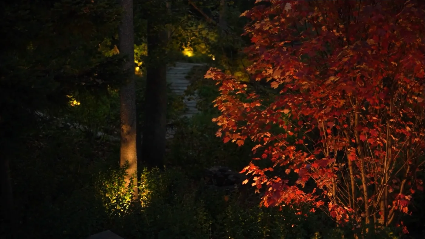 Ландшафтный дизайн проекта Новолеоново