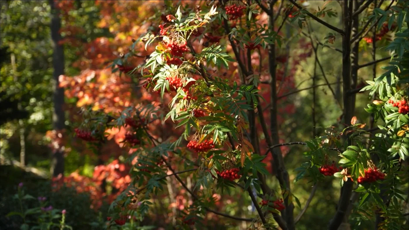 Новолеоново